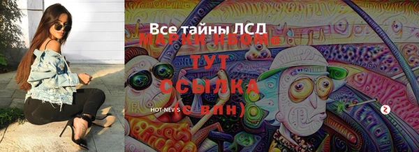 ECSTASY Покачи