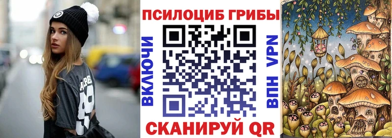 цена наркотик  Сосновоборск  Псилоцибиновые грибы Magic Shrooms 